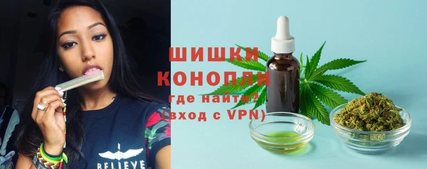 соль ск Верея