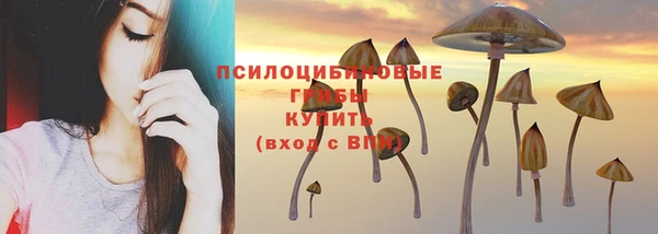ПСИЛОЦИБИНОВЫЕ ГРИБЫ Володарск