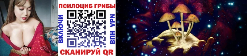 где найти   Краснослободск  Галлюциногенные грибы MAGIC MUSHROOMS 