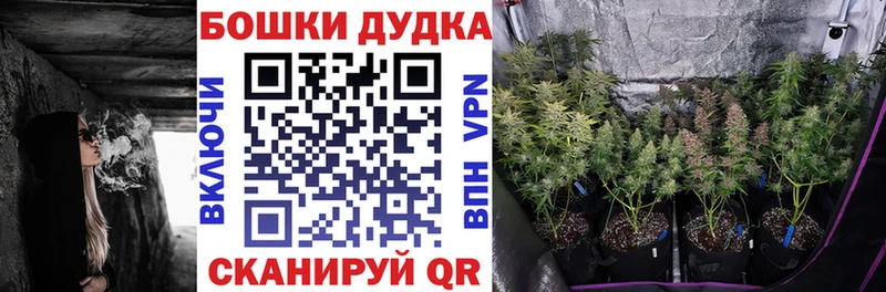 купить   Краснослободск  Бошки марихуана Amnesia 